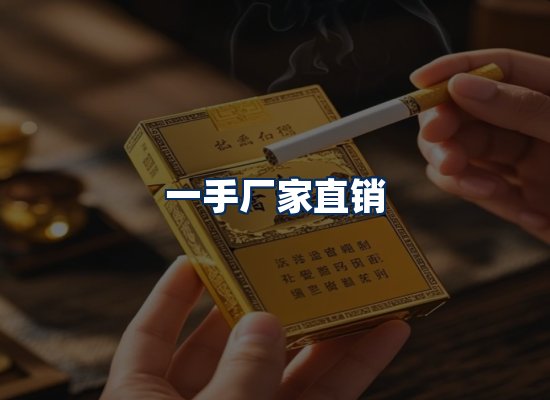 专业团队办公环境
